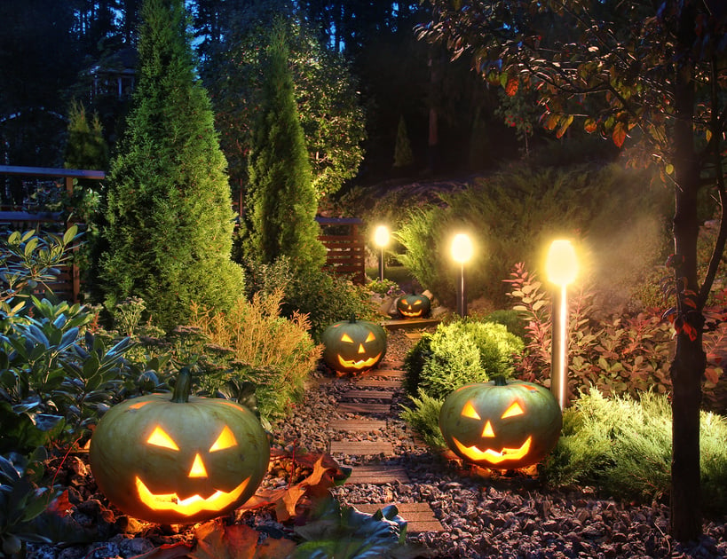 Halloween garden lights